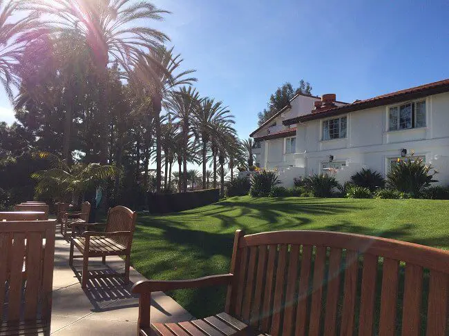 Omni spa row of palm trees and wood benches for a great San Diego staycation. 