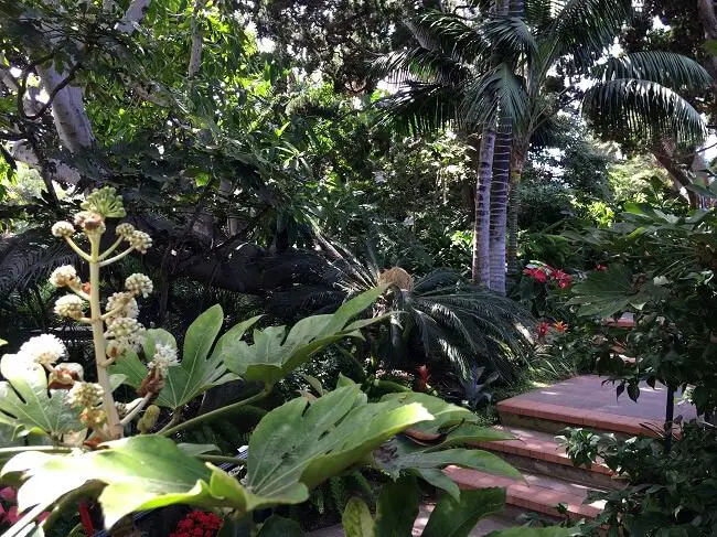 swamis meditation garden walkway with plants on both sides - perfect for San Diego staycation