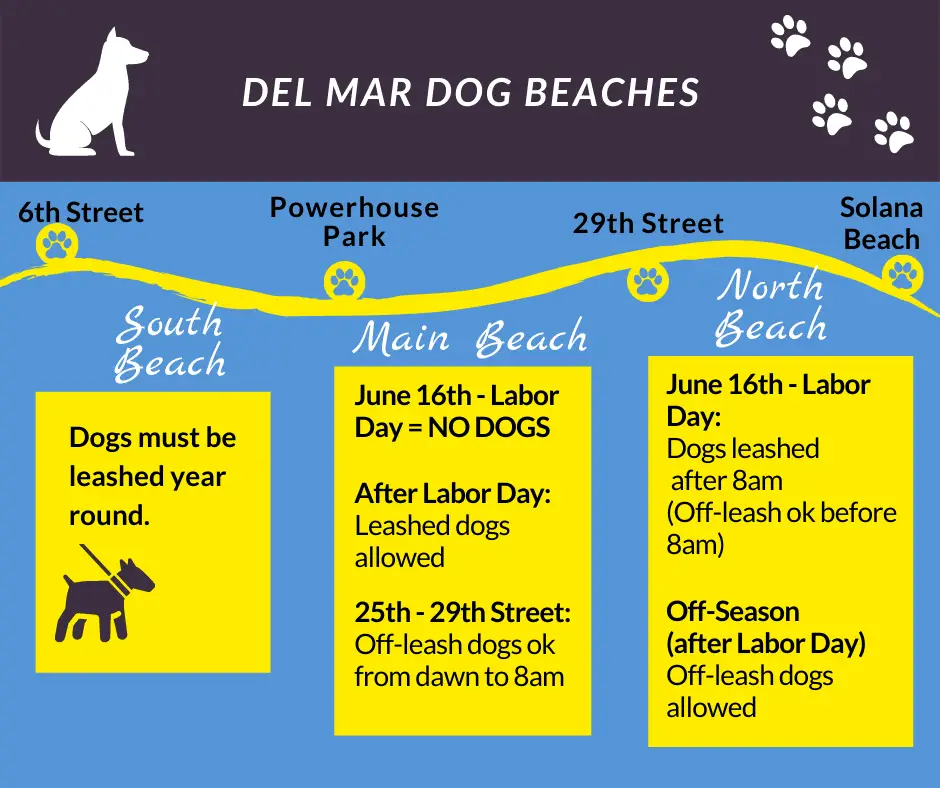 Beaches in San Diego that allow dogs- graphic for Del Mar beach dog rules