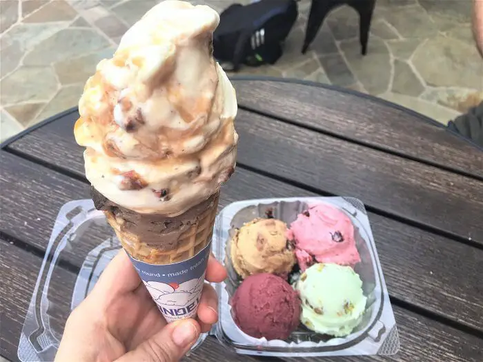 Cali Cream ice cream cone and sampler - San diegos best ice cream