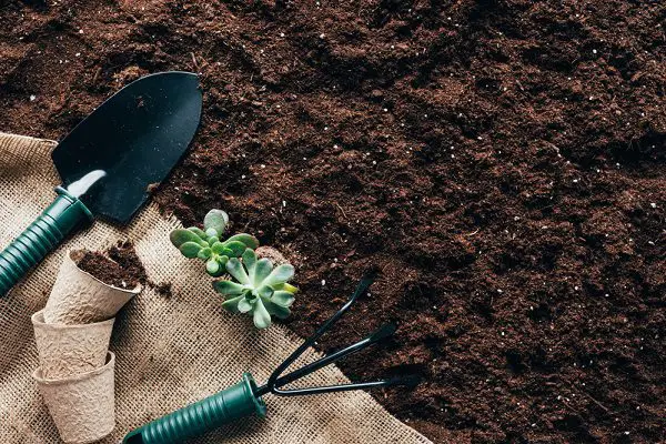 xeriscape garden -rich soil and garden tools