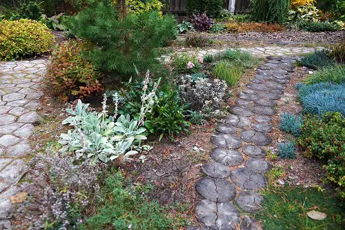 nice garden path made of stone with drought-tolerant plants on both sides - xeriscape gardening