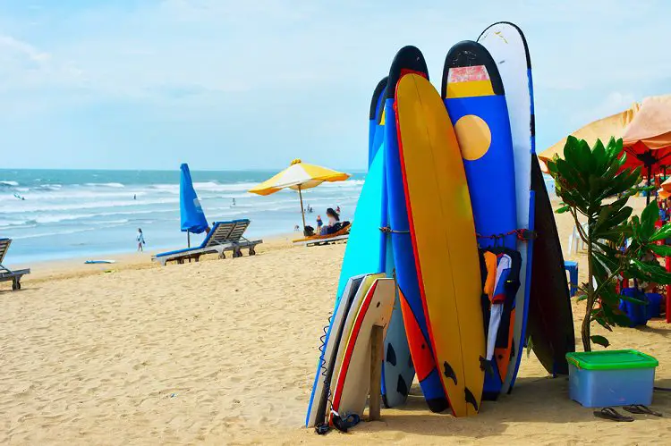 various sizes and colors of surfboards and body boards standing on the beach - beaches in San Diego 