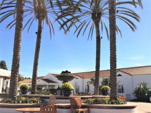 7 Iconic Palm Trees in San Diego & How to Care for Them - San Diego ...