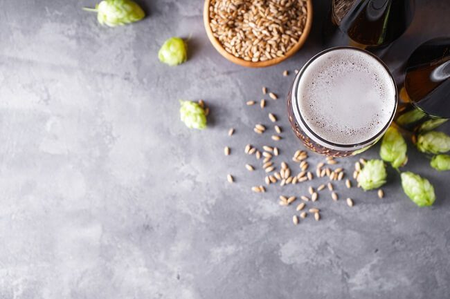 top view of glass of craft beer with hops flowers and grain for a visual on how San Diego IPA is made