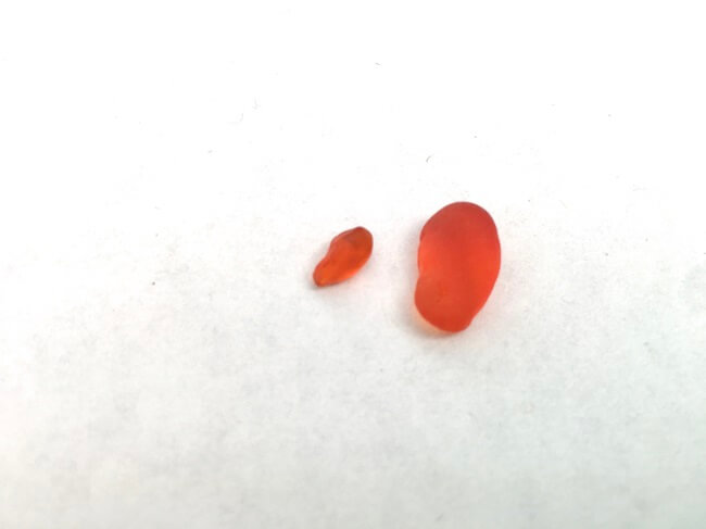 this is orange sea glass that we've found - the rarest sea glass