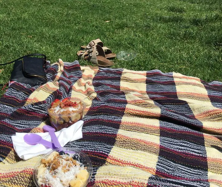 plaid blanket in grass on sunny day in San Diego with Birkenstock sandals - what to wear in San Diego right now